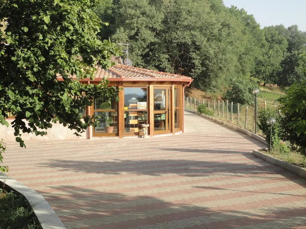 Agriturismo Tripparella_Cellara_slider_image_1