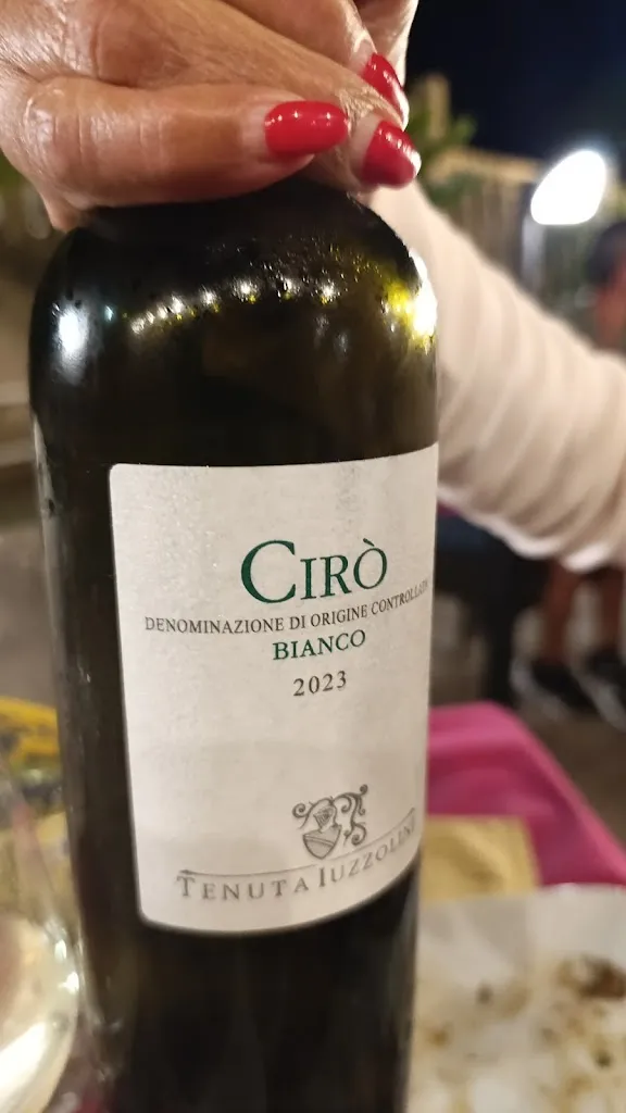 Menu_Bivio 2.0_Cenadi_image_7