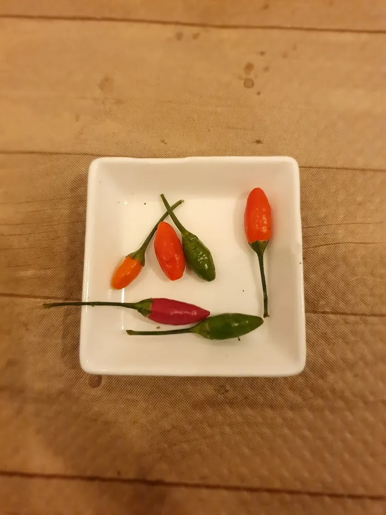 Menu_RADICI - ESPERIENZA GASTRONOMICA CALABRESE TORRE DI RUGGIERO CZ_Centrache_image_8