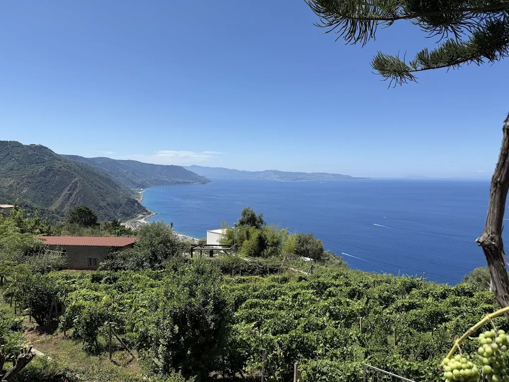 Fabrizio Di loreto_Santabarbara 1789_Ceramida-Pellegrina_review