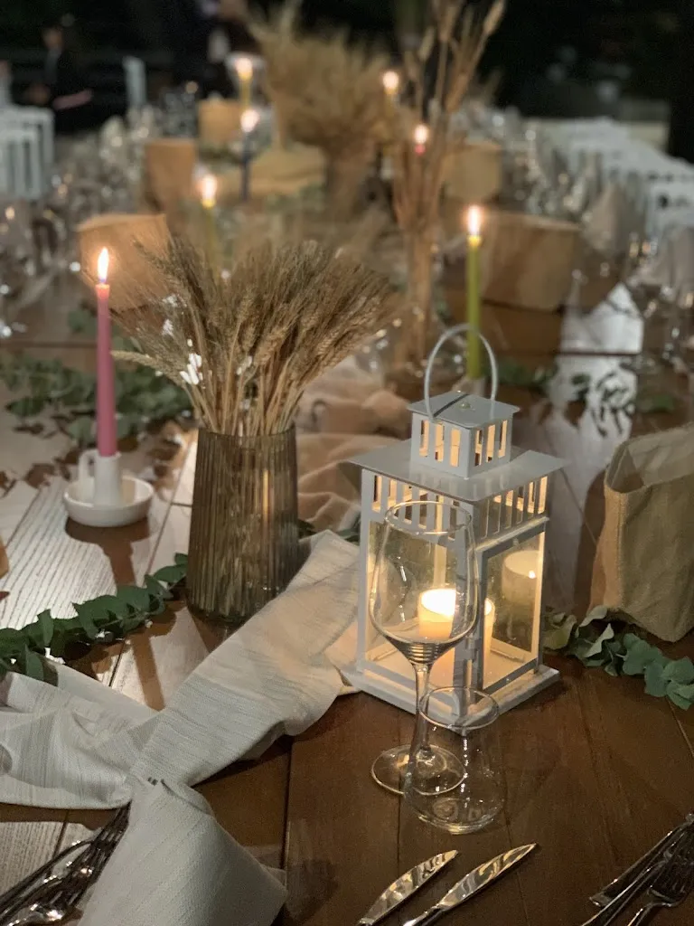 Angelica Mazza_Aurum terrae_Cerisano_review