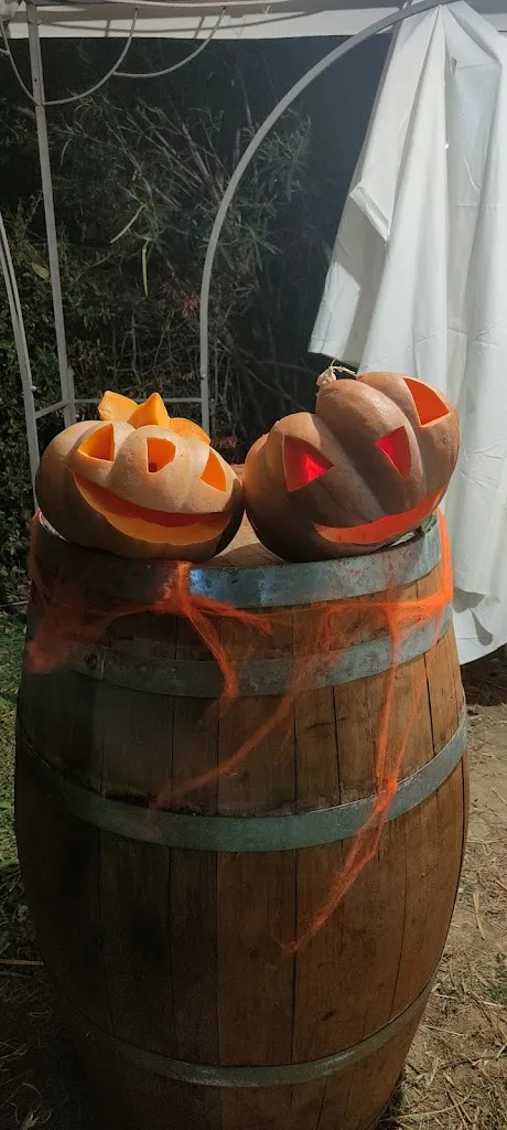 Dr. Giuseppe Ciliberti_Agriturismo La Campagnola_Cerchiara di Calabria_review