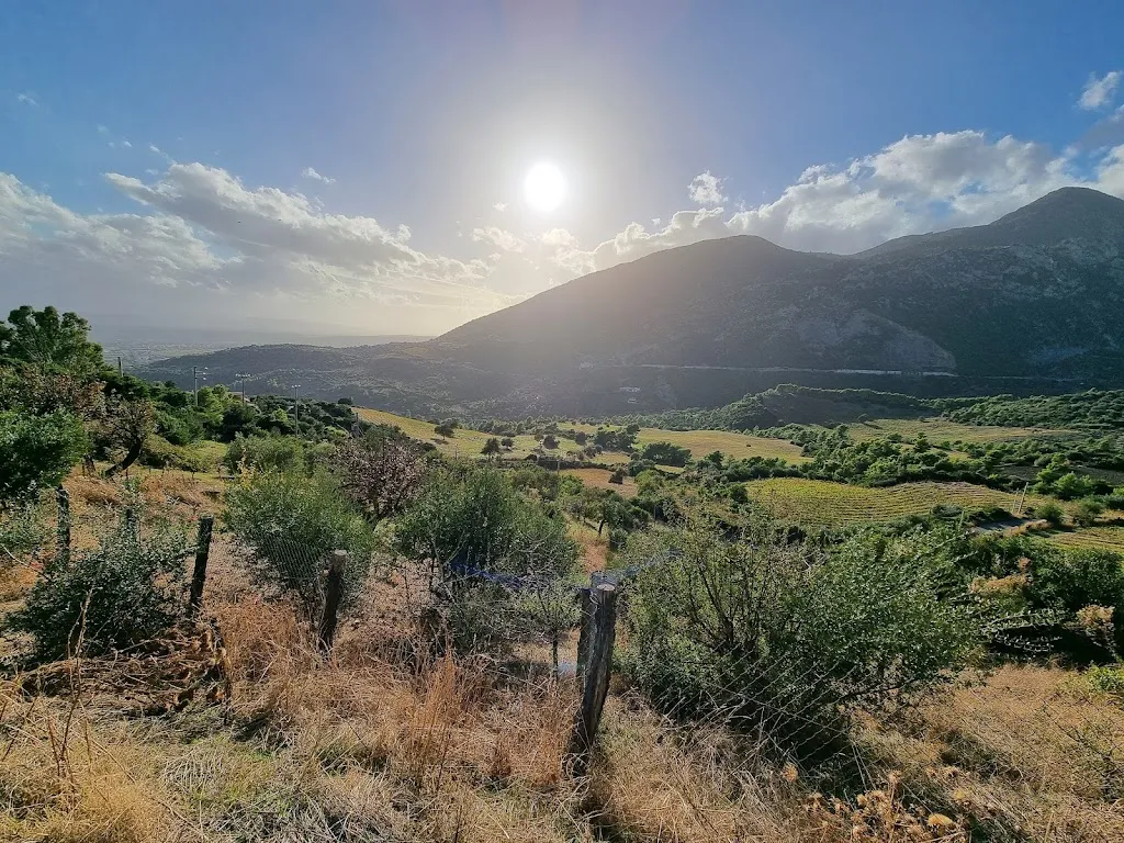 Agriturismo Acampora_Cerchiara di Calabria_slider_image_3
