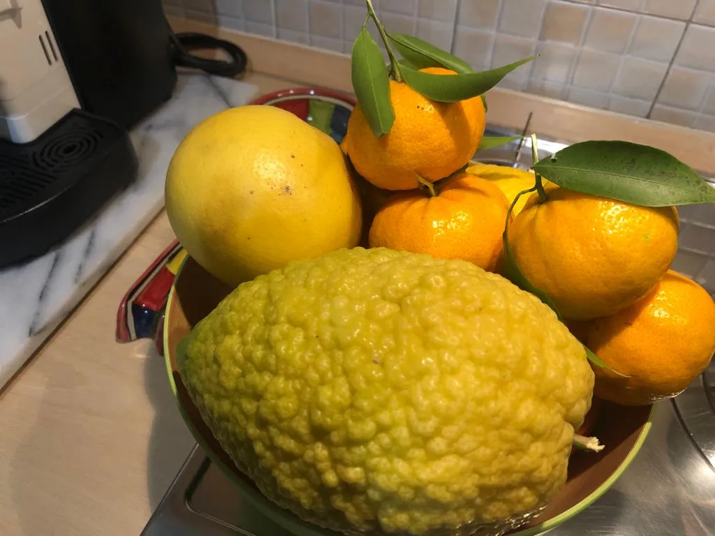 Menu_Panificio Mauro_Cerchiara di Calabria_image_8