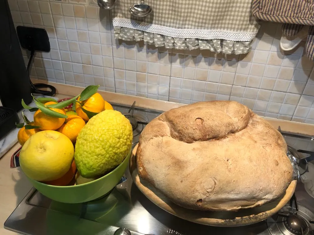 Menu_Panificio Mauro_Cerchiara di Calabria_image_9