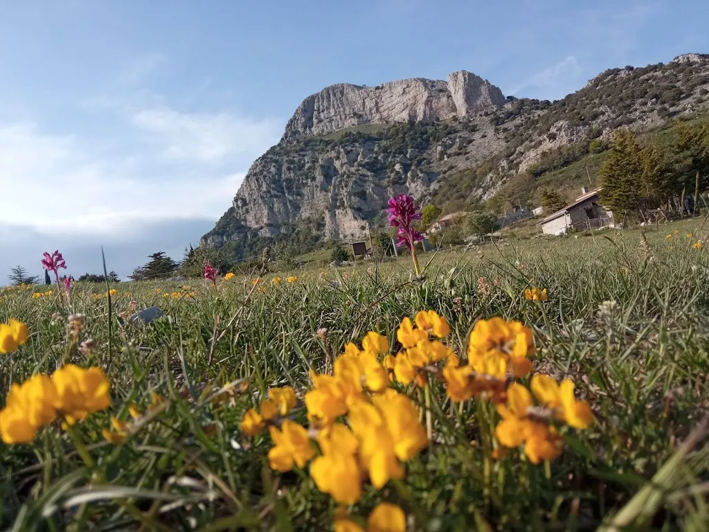 Sudip Chakraborty_Santuario Santa Maria delle Armi_Cerchiara di Calabria_recensione
