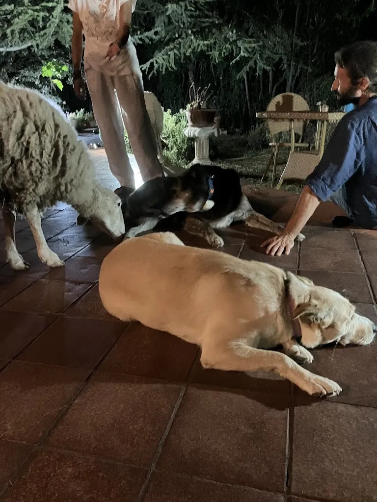 marjan van der meer_Officine Vegetali Home Restaurant_Controguerra_review