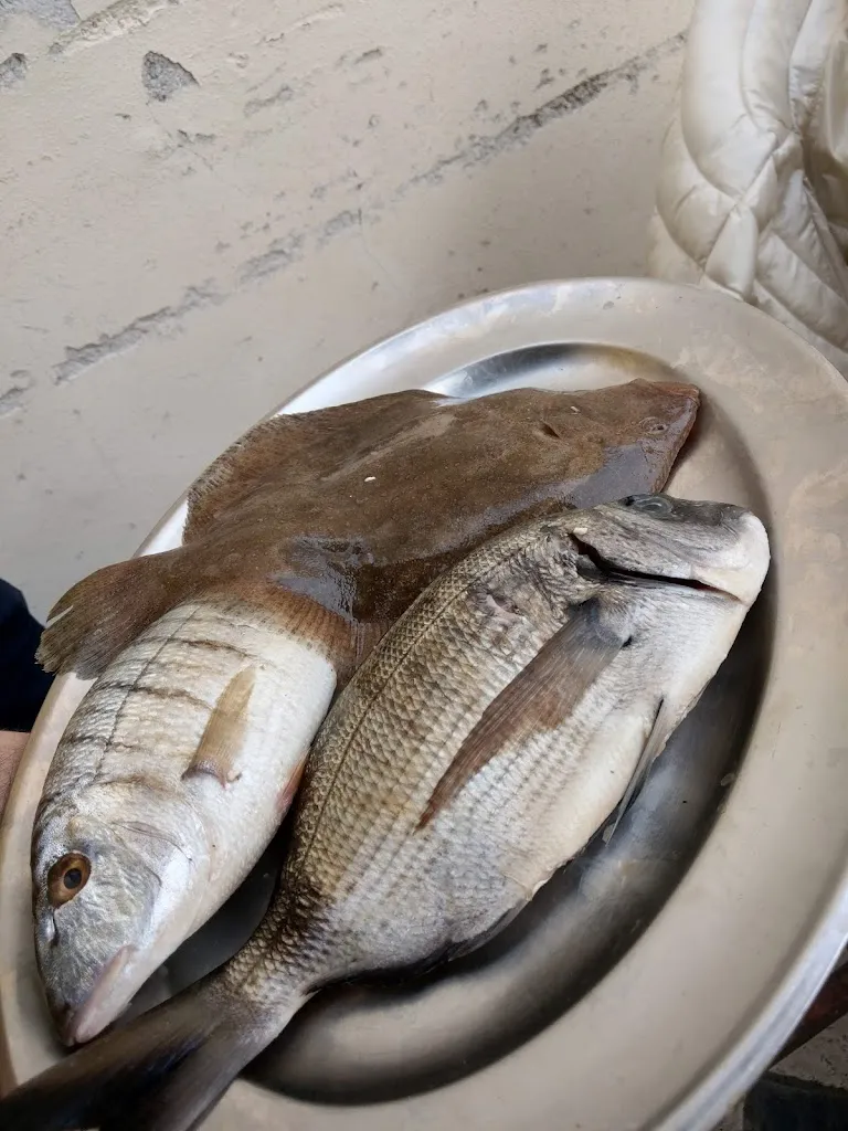 Menu_La Cicala_Cicala_immagine_9