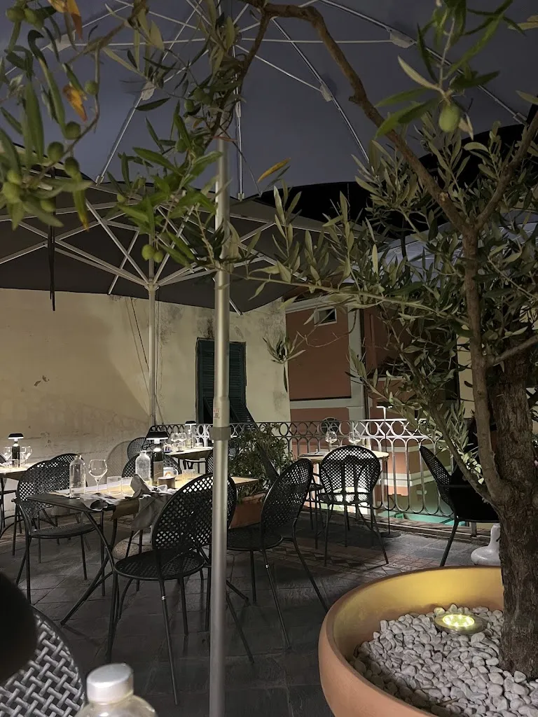 Oksana B_La Cicala_Cicala_recensione