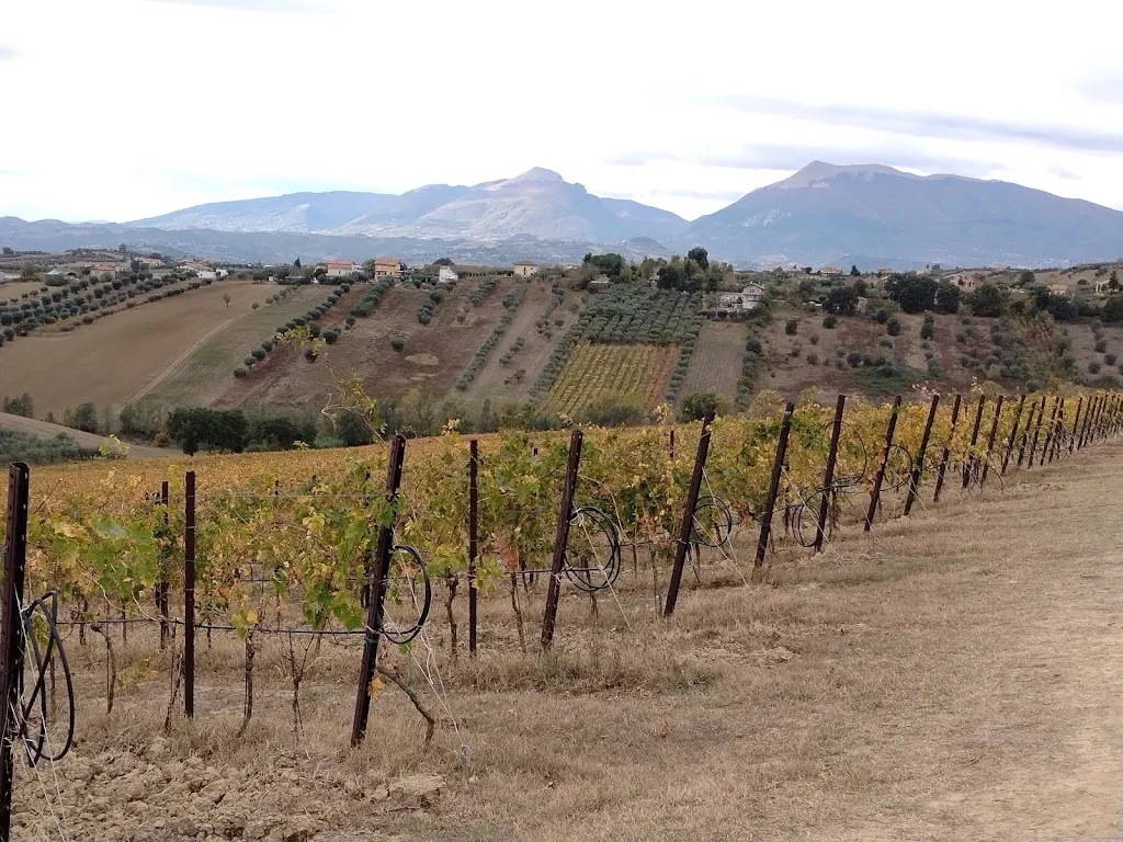 La Pineta_Controguerra_slider_image_2