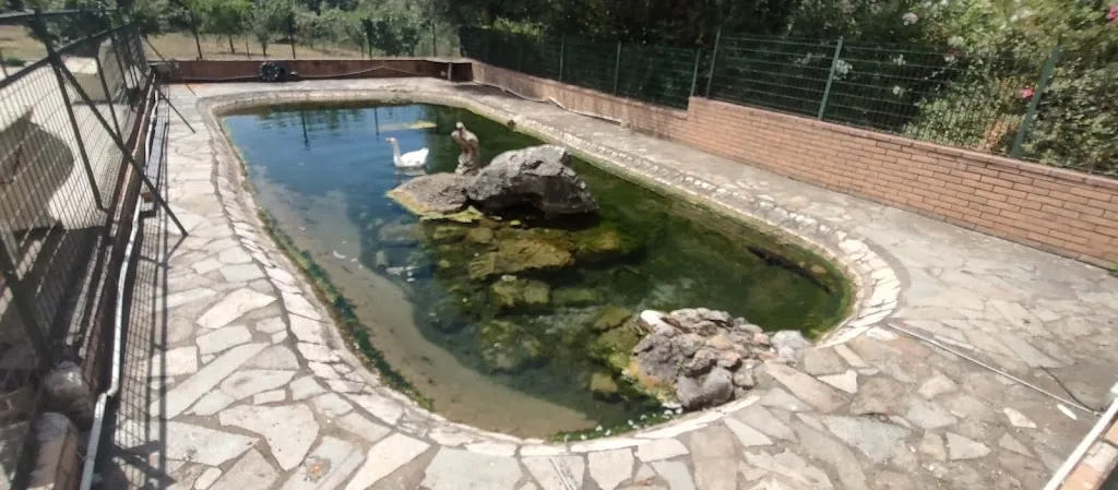 Hotel la Falconara_Castrovillari_slider_image_2