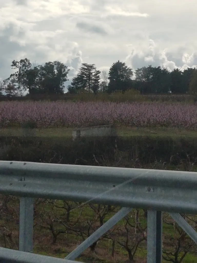 Ingresso al Castello di Serragiumenta_Castrovillari_slider_image_2