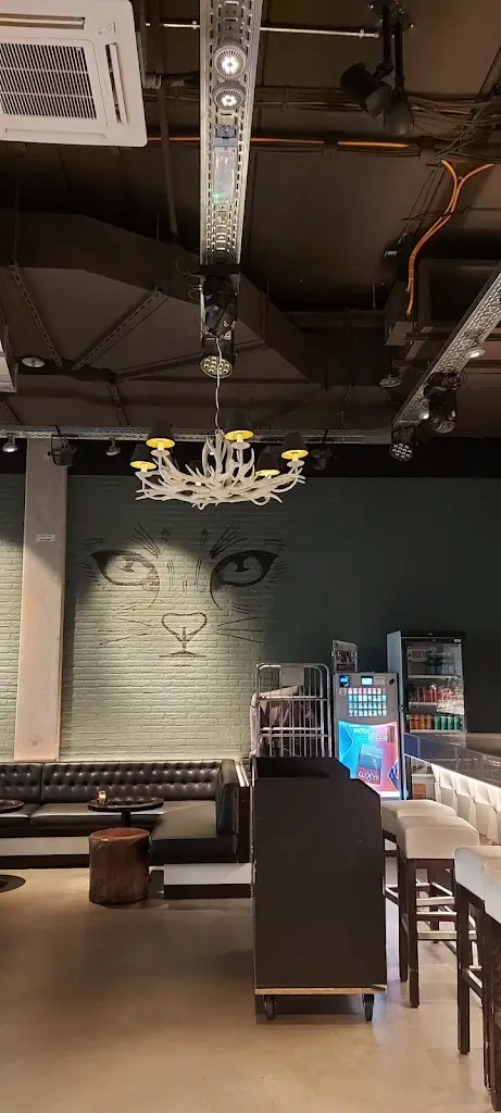 Roxana to you_Urban Belval_Soleuvre_reseña