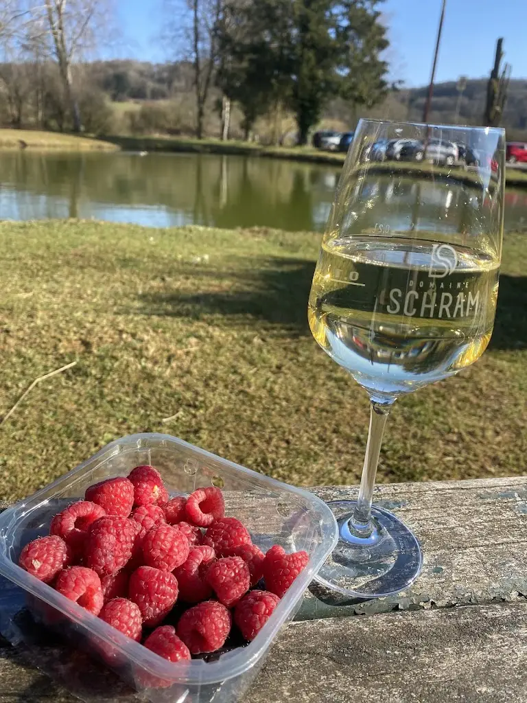 Марина Гуцул_Rollenger Weiheren_Lamadelaine_review