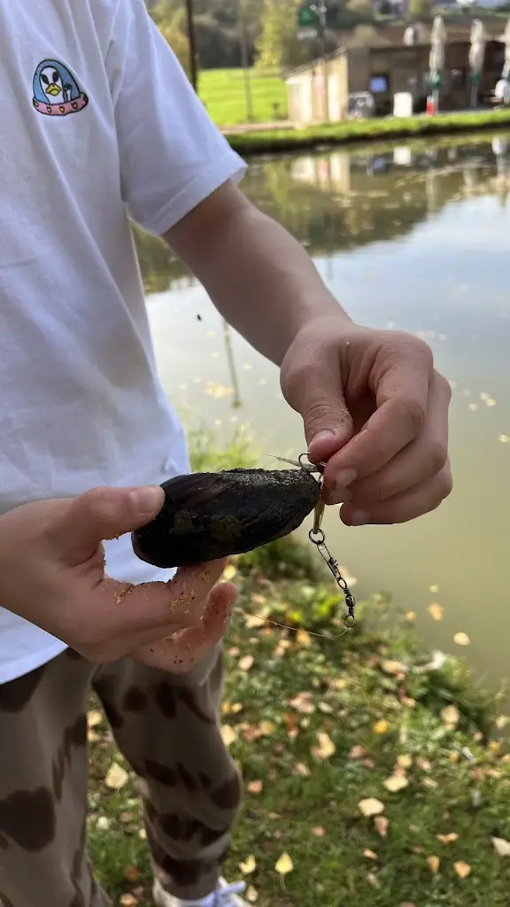 Marion Thill_Rollenger Weiheren_Lamadelaine_review