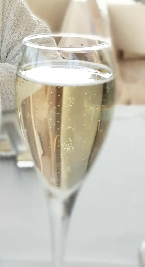 Menu_Croisière à Remich - Bateaux RoudeLéiw, RiverDiva & MuselSchëff de Navitours_Remich_image_5