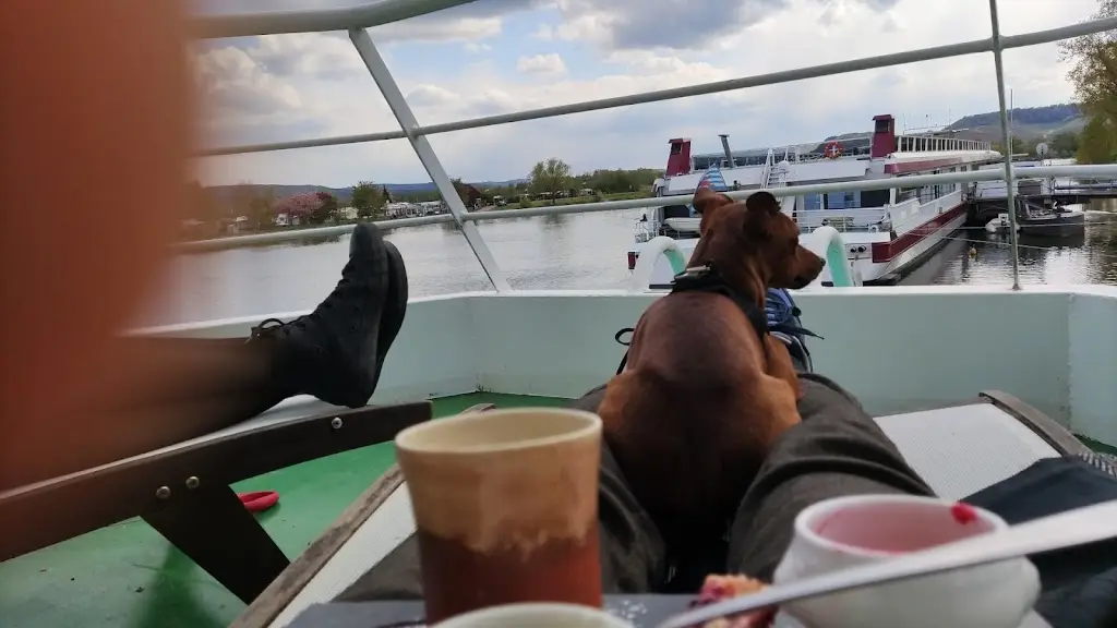 Wim Goormachtigh_Croisière à Remich - Bateaux RoudeLéiw, RiverDiva & MuselSchëff de Navitours_Remich_avis