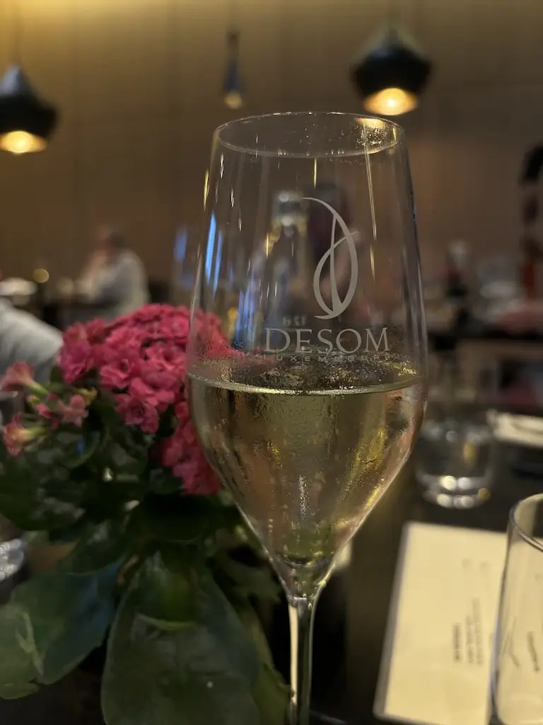 shravya_Pavillon Desom_Remich_reseña