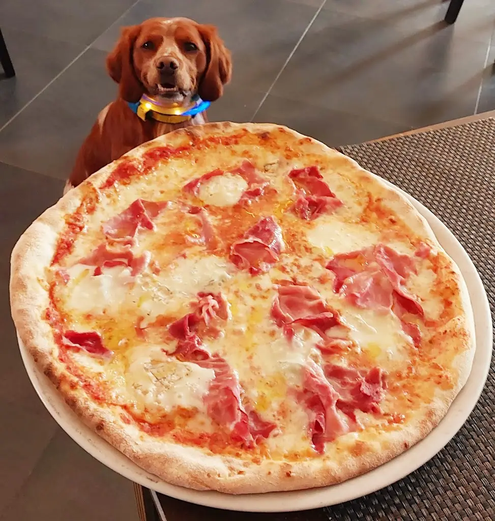 Menu_Gusto Ristorante Pizzeria_Sandweiler_image_4