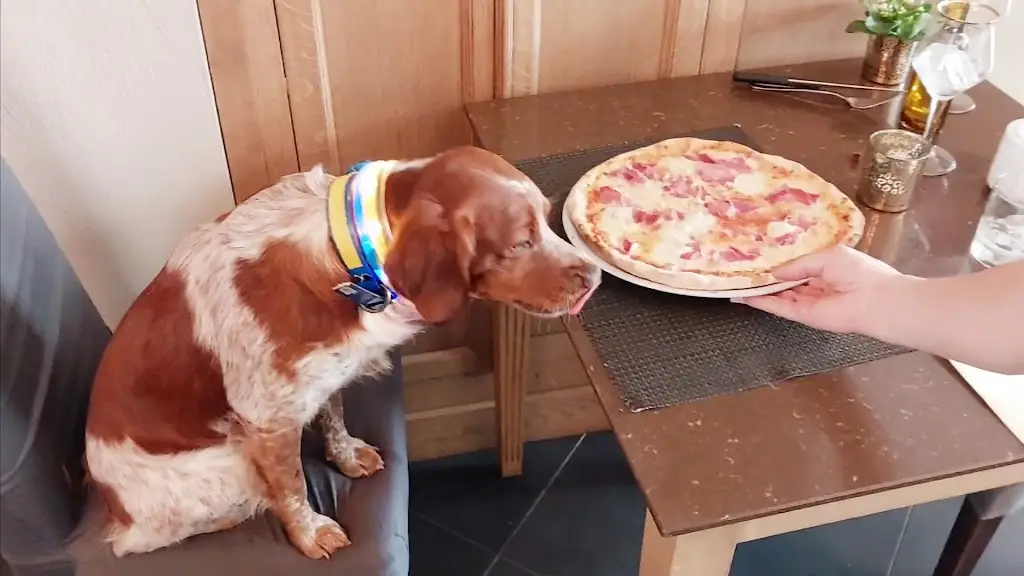 Gusto Ristorante Pizzeria_Sandweiler_slider_image_2