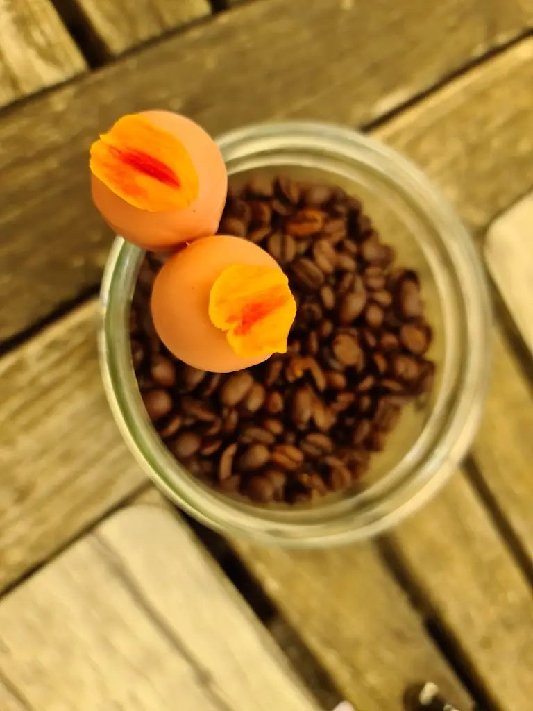 Menu_Brasserie Côté Cour_Junglinster_image_8