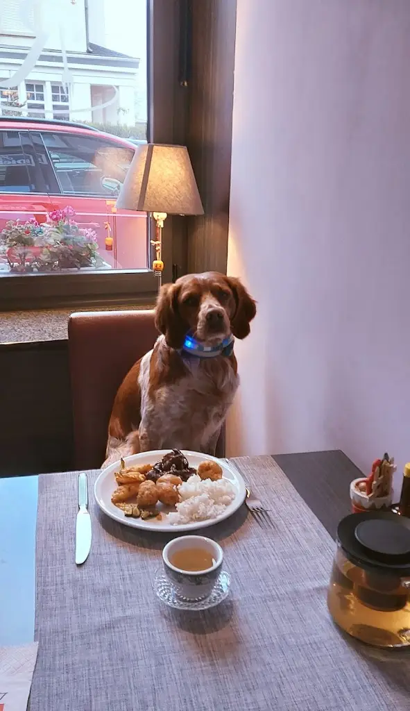 Menu_Le Régent_Helmsange_imagen_2