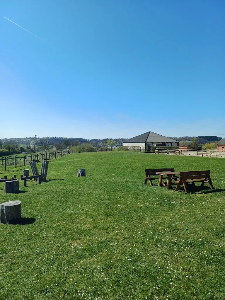 Evangelos Raptis_Brasserie Beim Pier_Moutfort_reseña