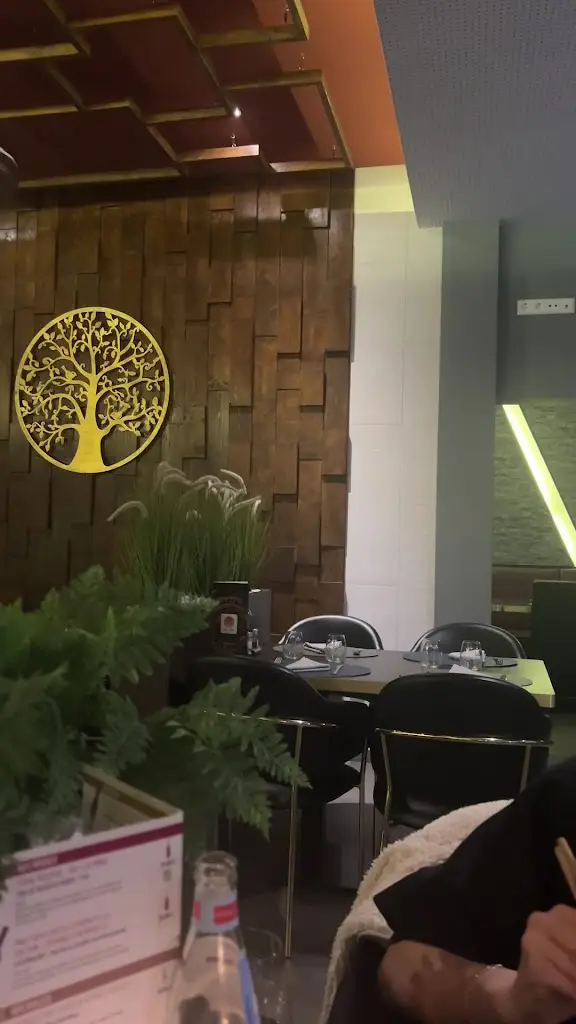 Tughan Tokus_Bei Zhou_Wiltz_review