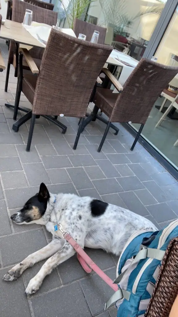 Allie_La table d'Am park_Berdorf_reseña