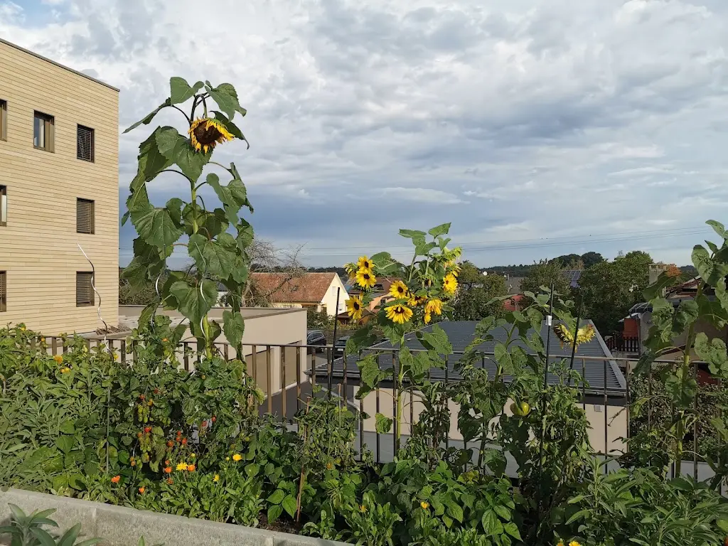 Olga S_Berdorfer Eck_Berdorf_review