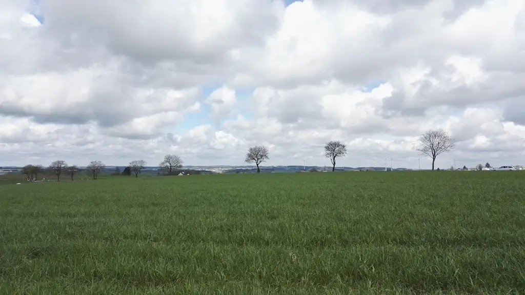 Bjorn Habets_Restaurant - Café Kentucky_Clervaux_reseña