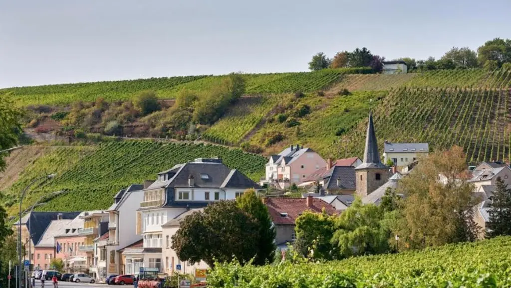 BRASSERIE BAR À VIN EHNEN_Ehnen_slider_image_3