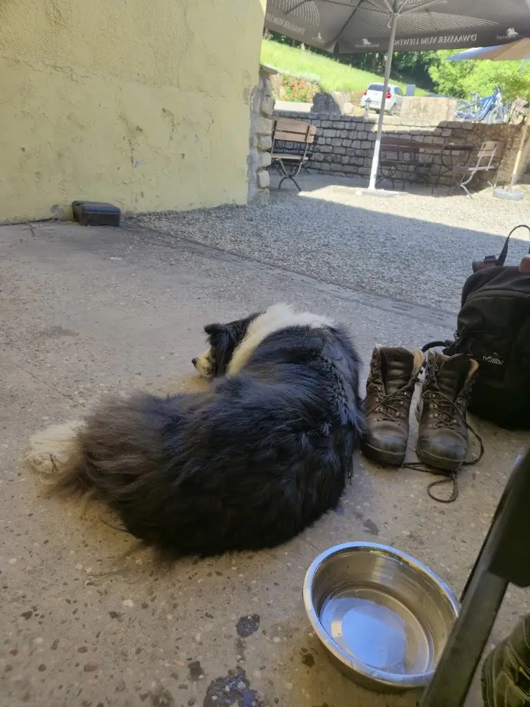 Tom Vierendeel_Konsdreffer Millen_Reisdorf_review