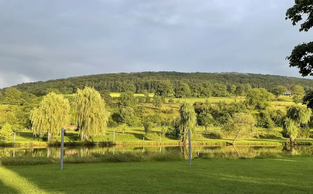 Malcolm Goodall_Al Schwemm_Reisdorf_review