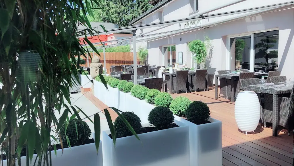 Restaurant Papaya_Holzem_slider_image_1