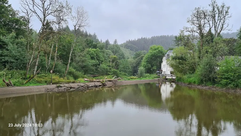 Romain R_Bungerefer Millen_Bigonville_review