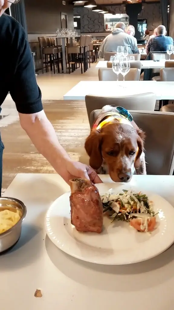 R., M. & fils R., M. & fils_Il Diablo_Bigonville_reseña