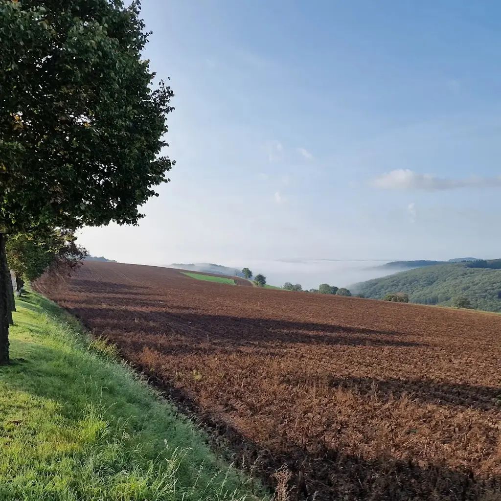 RvH Ronald_Hotel St Fiacre_Bourscheid_review