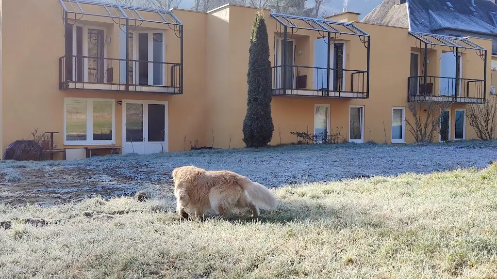 Hôtel-Restaurant Le Cigalon_Waldbillig_slider_image_2