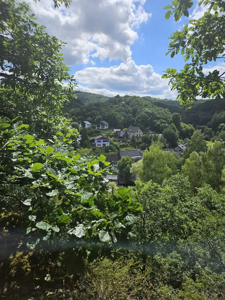 Vlm Fritzsche_Hotel Dirbach Plage_Esch-sur-Sûre_avis