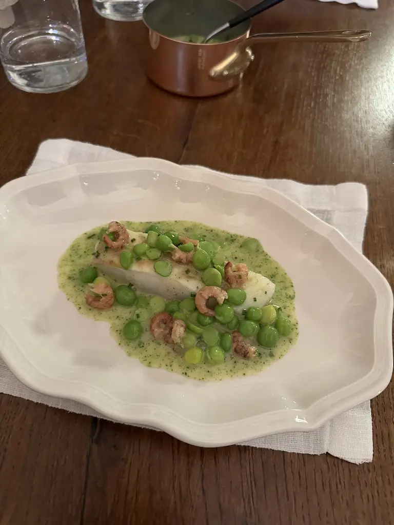 Nikita Sh_Apdikt_Steinfort_review