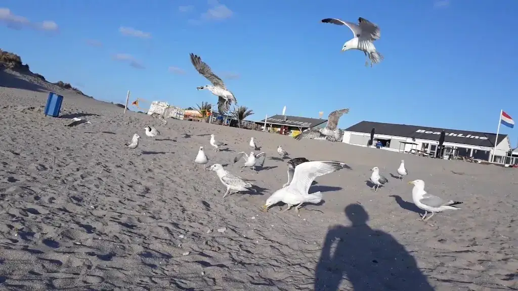 Hoek van Holland Beach_Holland_slider_image_2