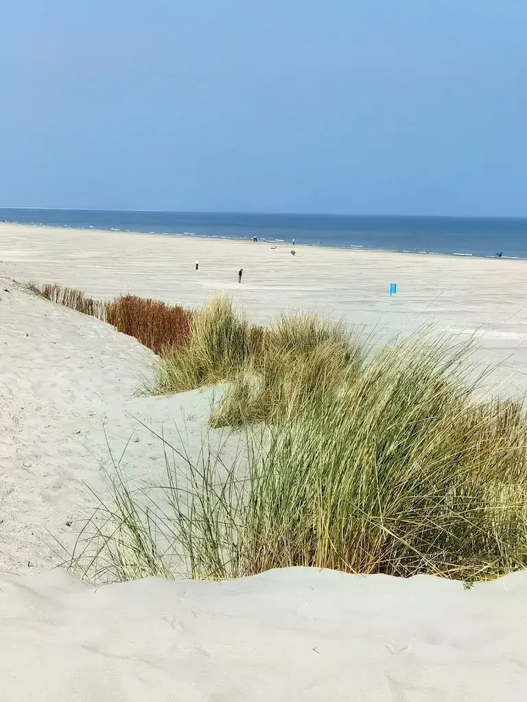 Strandpaviljoen Ballum_Ballum_slider_image_3