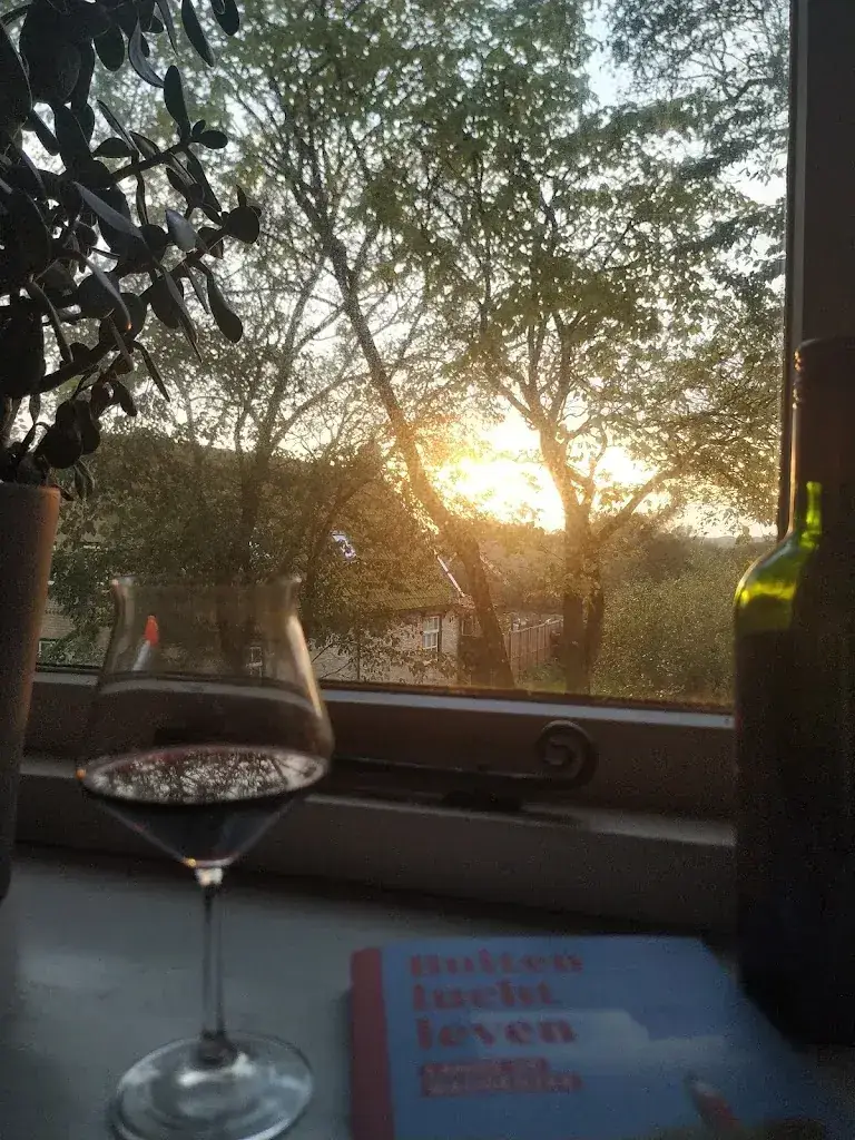 Paulina_De Welvaart_Hollum_review