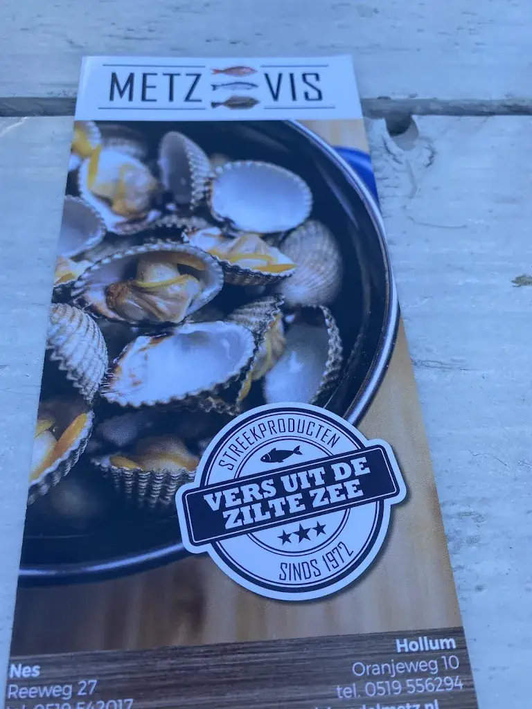 A. vlinder_Vishandel Metz Hollum_Hollum_reseña