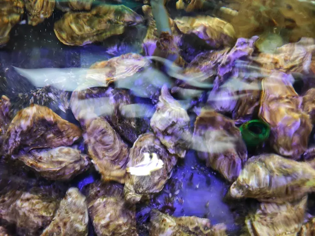 Menu_Restaurant 't Havenmantsje_Harlingen_image_8