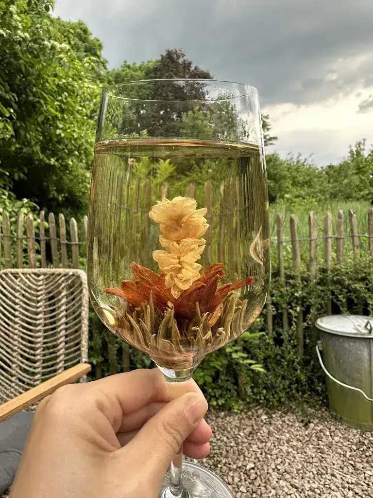 Maartje_Theetuin Peins_Peins_review