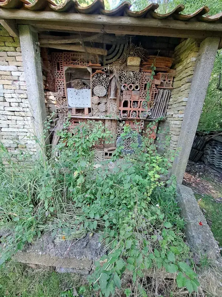 Tine Lejeune - Greidanus_Theetuin Peins_Peins_review