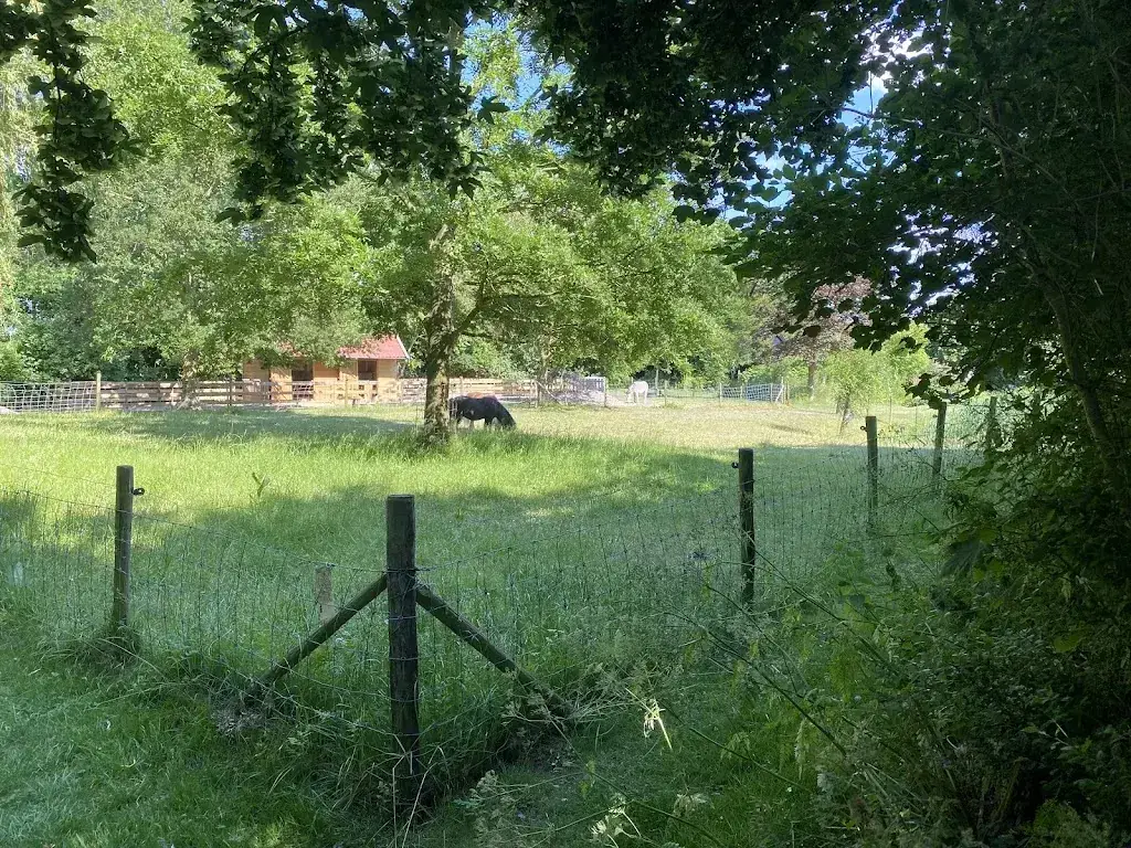 Theetuin Peins_Peins_slider_image_3