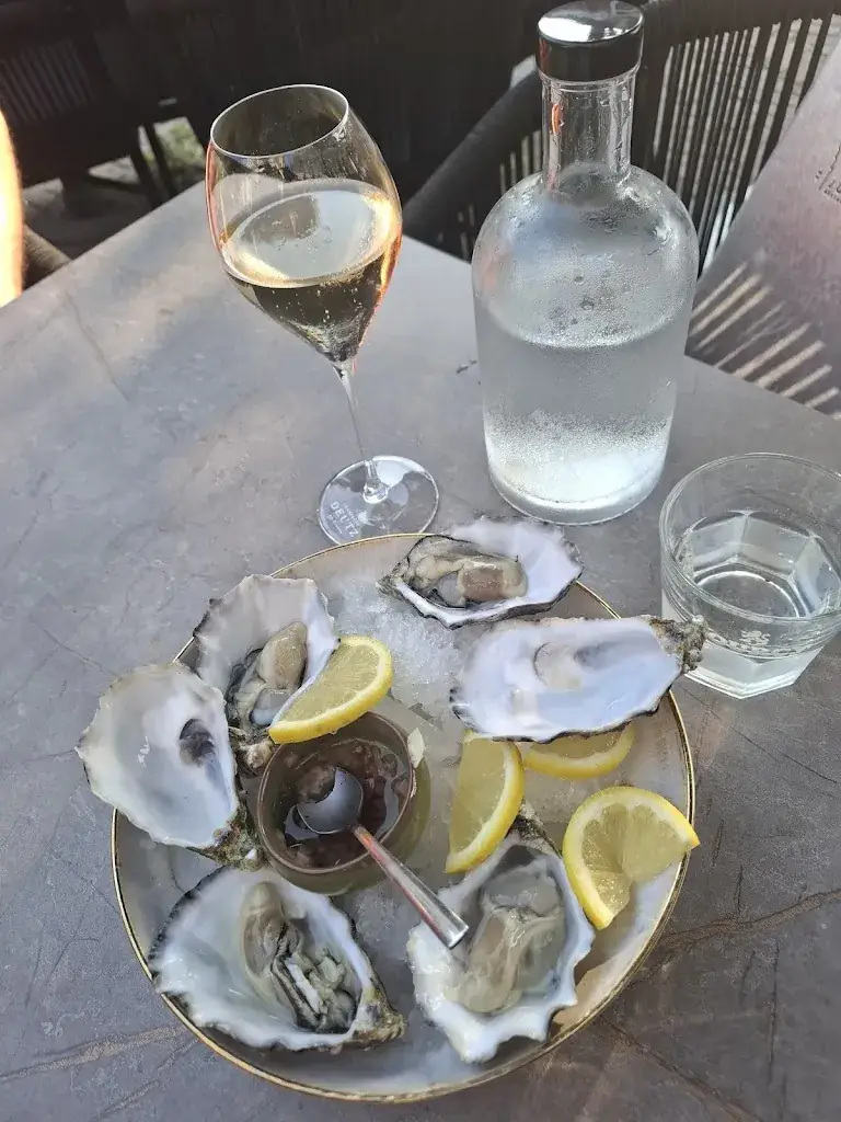 Carla Otter_De Jouster Toer_Joure_recensione